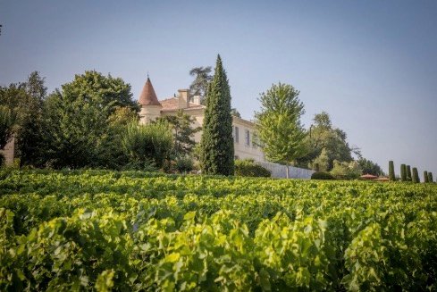 Château entouré de vignes à Saint-Émilion, cadre authentique et élégant idéal pour une visite de domaine ou un séjour œnologique haut de gamme.