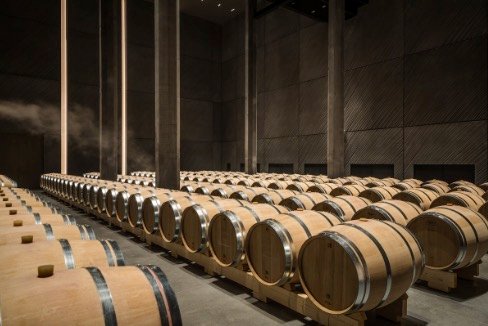 Chai à barriques d’un domaine de Saint-Émilion, cadre d’une visite de cave haut de gamme lors d’un séjour ou d’un week-end œnologique à Bordeaux.