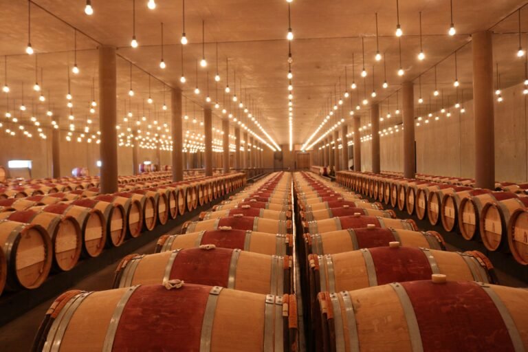 Chai voûté illuminé, aligné de rangées régulières de barriques en bois.