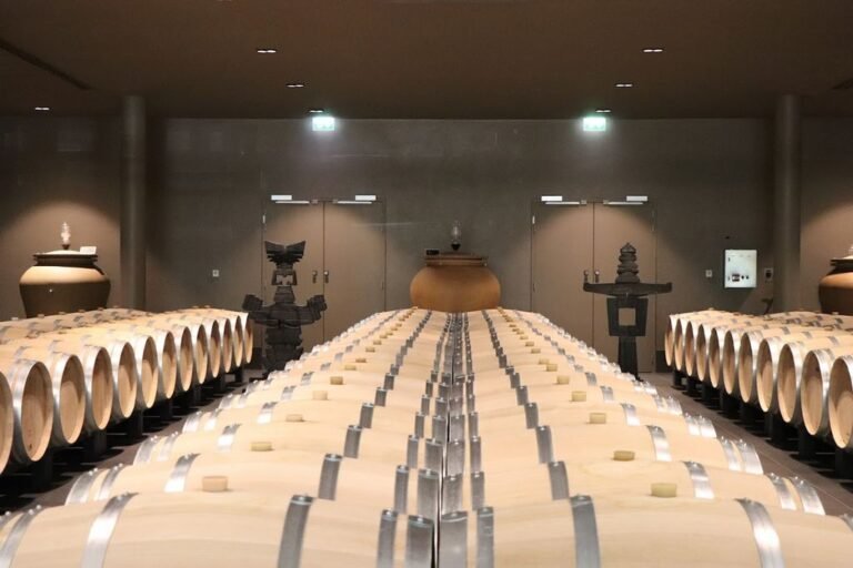 Cave de dégustation au cœur d’un château viticole à Bordeaux, illustrant une immersion œnologique lors d’un séjour d’exception