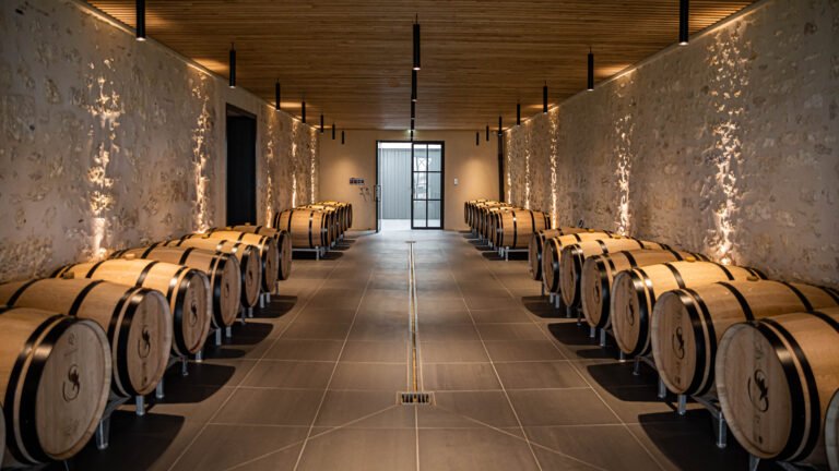 Chai moderne aux barriques alignées dans un domaine viticole bordelais, idéal pour une visite de cave lors d’une excursion œnologique à Bordeaux