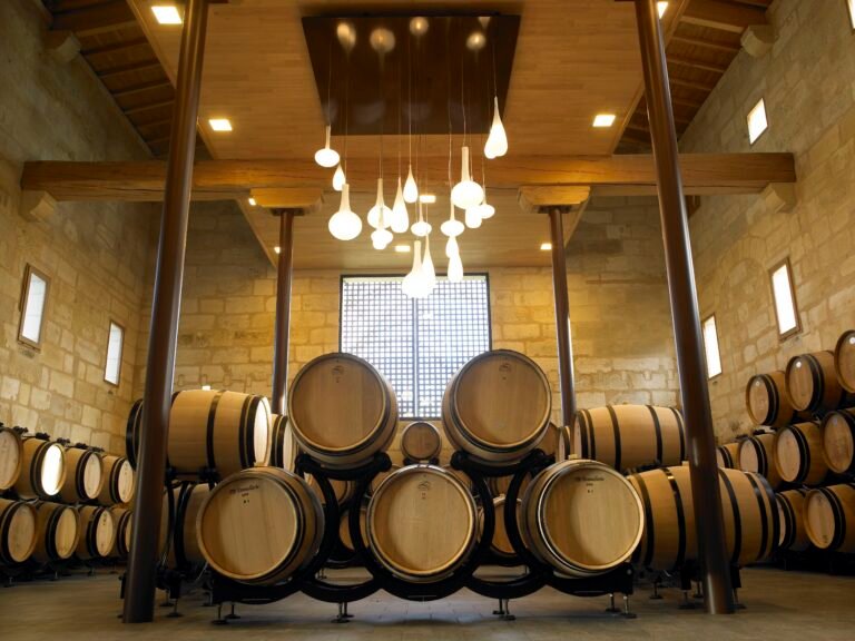 Chai moderne aux barriques élégamment disposées dans un château viticole de Bordeaux, lors d’une visite de cave pendant une excursion œnologique