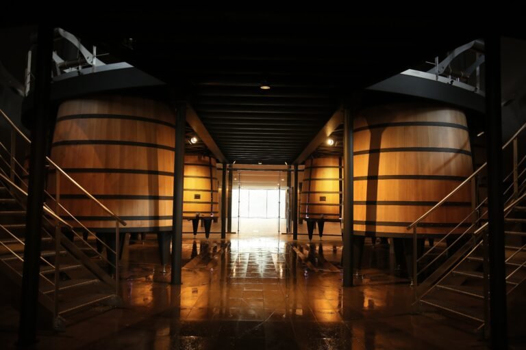 Cuves en bois imposantes dans une cuverie moderne d’un château du Bordelais, lors d’une visite immersive au cœur de la vinification à Bordeaux