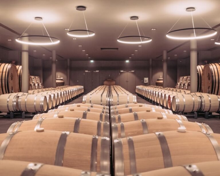 Chai à barriques d’un domaine de Saint-Émilion, cadre d’une visite de cave d’exception lors d’un week-end œnologique dans le vignoble de Bordeaux.