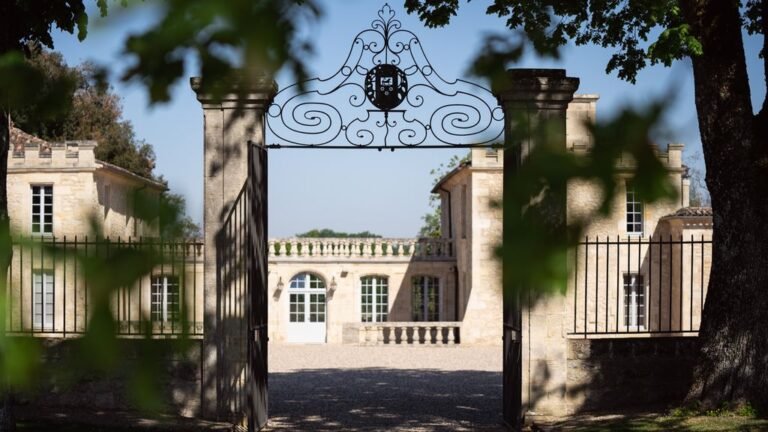 Entrée élégante d’un château viticole en pierre dans le Bordelais, cadre prestigieux pour une visite œnologique ou une excursion dans les vignobles.