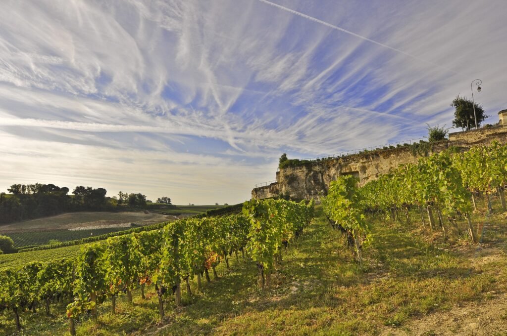 Vignoble en coteaux à Saint-Émilion avec falaises calcaires et ciel nuageux spectaculaire