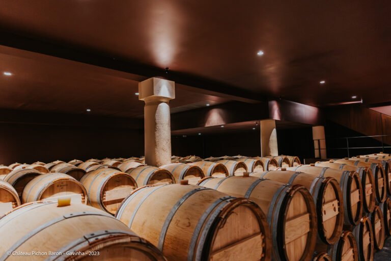 Chai moderne de barriques dans un Grand Cru Classé de Bordeaux, offrant un cadre prestigieux pour une visite œnologique immersive.