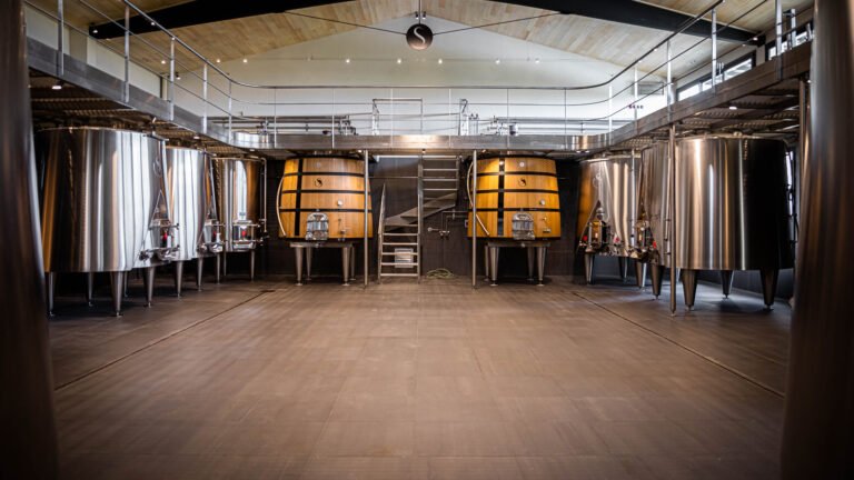 Chai moderne de Saint-Émilion mêlant cuves inox et foudres en bois, idéal pour une visite œnologique haut de gamme à Bordeaux.