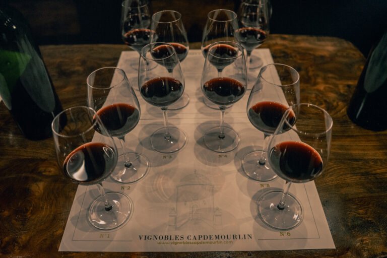 Séance de dégustation de vins rouges aux Vignobles Capdemourlin, idéale pour une expérience œnologique authentique à Saint-Émilion