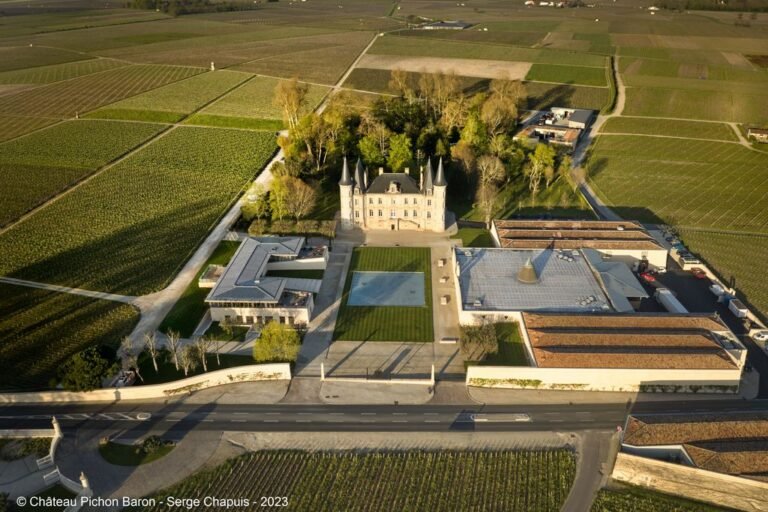 Vue aérienne d’un château viticole entouré de vignes à Bordeaux