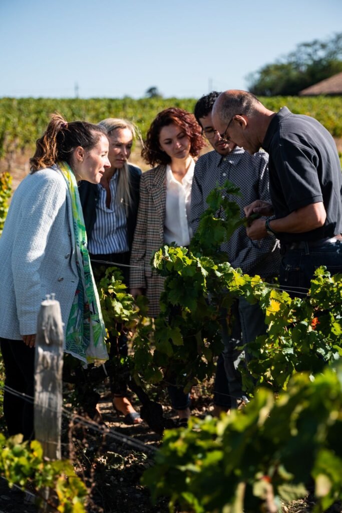 Échange convivial entre participants lors d’un séminaire d’entreprise dans le vignoble