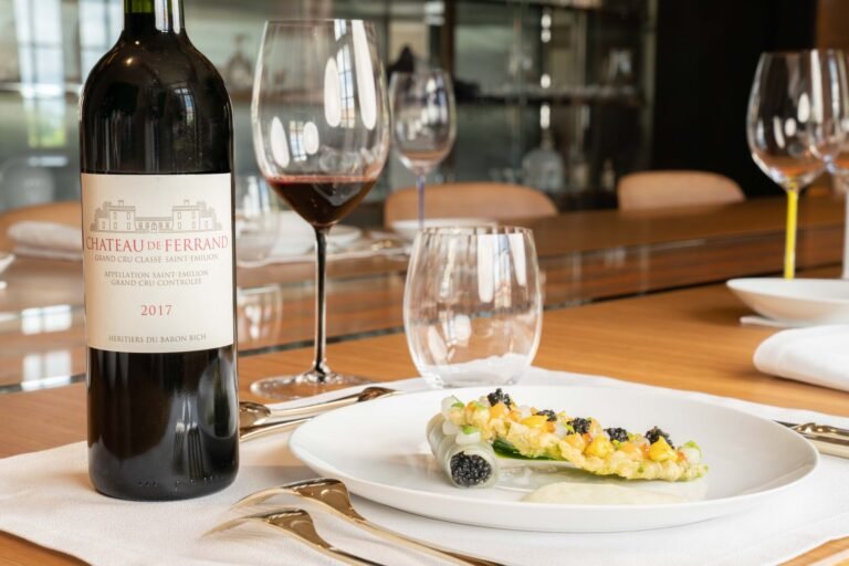 Accord gastronomique autour d’un Saint-Émilion Grand Cru durant une dégustation œnologique à Bordeaux, mêlant vin rouge et plat raffiné.