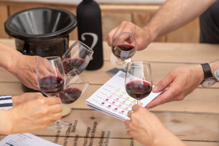 Atelier de dégustation de vin rouge avec analyse sensorielle et fiche de dégustation à Saint-Émilion