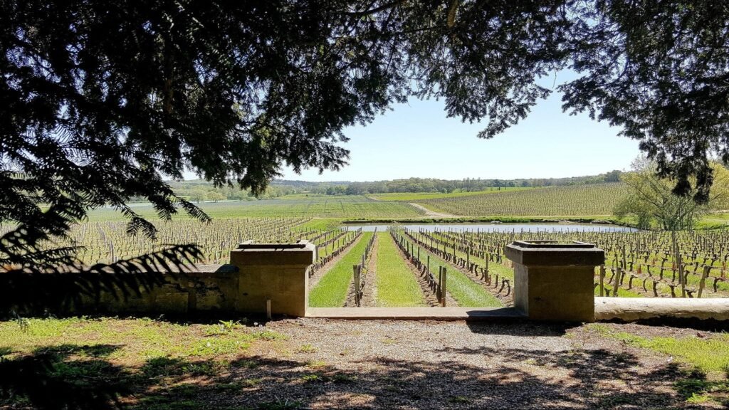 Vue aérienne d’un domaine hôtelier entouré de vignes près de Saint-Émilion, cadre idéal pour un séjour œnologique paisible dans le Bordelais.