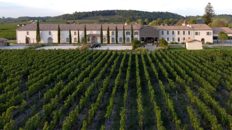 Vue aérienne d’un domaine viticole bordelais entouré de rangées de vignes, cadre idéal pour une excursion œnologique à Saint-Émilion.