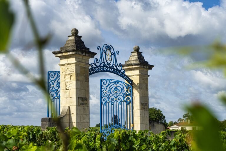 Portail patrimonial en fer forgé au milieu des vignes de Saint-Émilion, symbole emblématique d’une excursion œnologique dans le Bordelais.