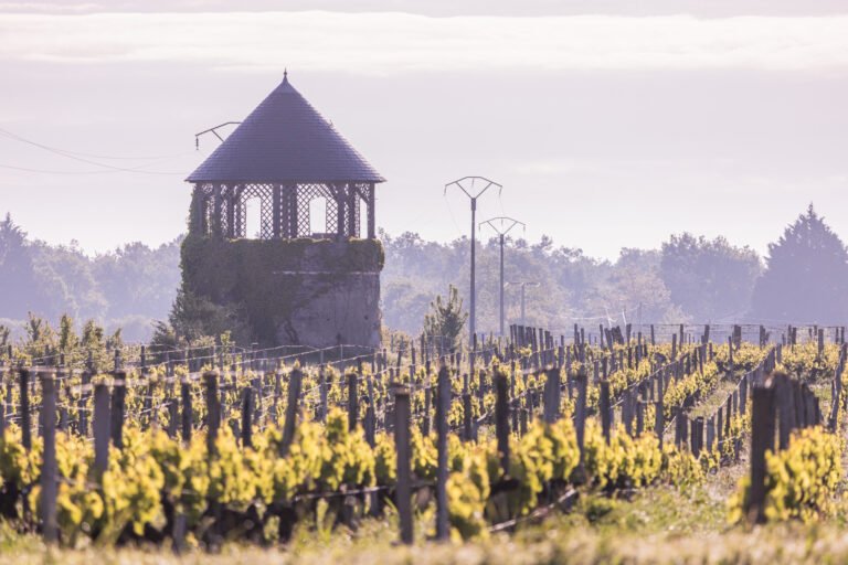 Tour en pierre entourée de vignes au lever du soleil dans un paysage viticole de Saint-Émilion