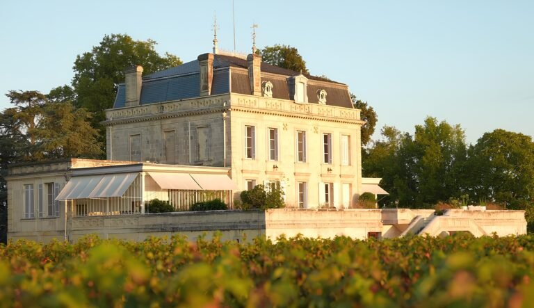 Château bordelais au coucher du soleil entouré de vignes, demeure élégante au cœur d’un vignoble de Bordeaux