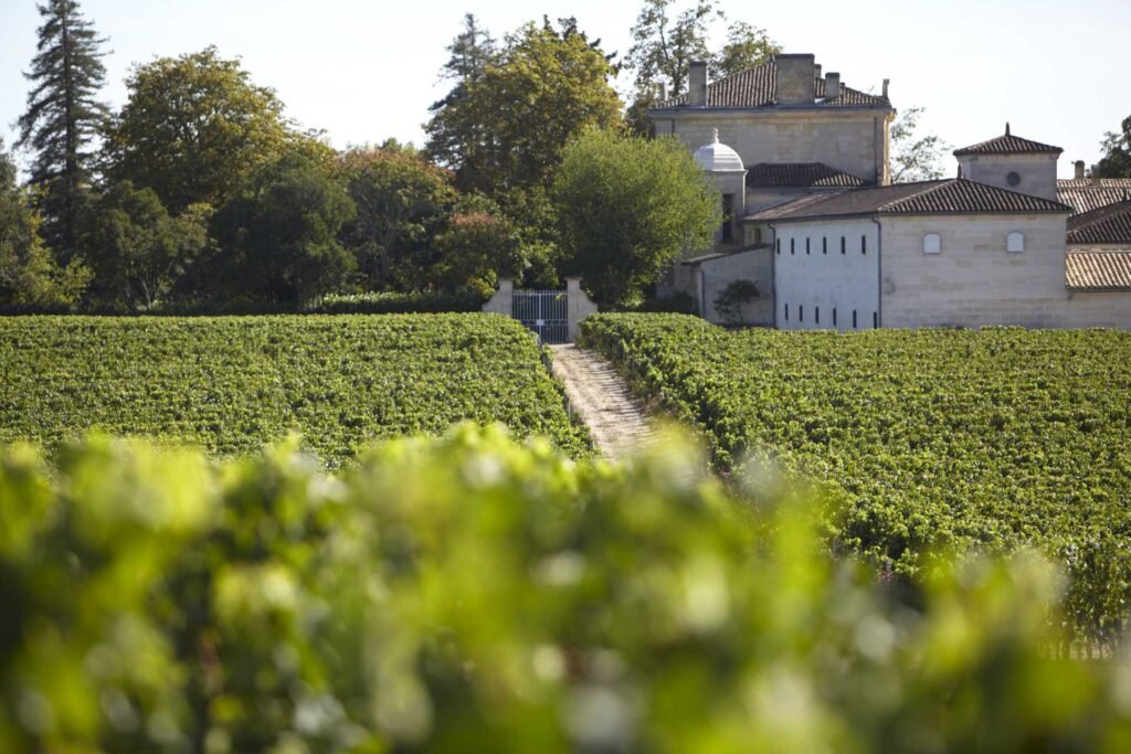 Chemin bordé de vignes menant à un château viticole de Saint-Émilion, idéal pour une excursion ou un weekend œnologique dans le vignoble de Bordeaux