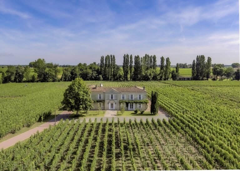 Château viticole entouré de vignes au cœur du vignoble bordelais