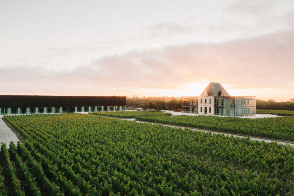 Vignoble au lever du soleil avec domaine contemporain en arrière-plan, idéal pour une expérience œnologique à Bordeaux.