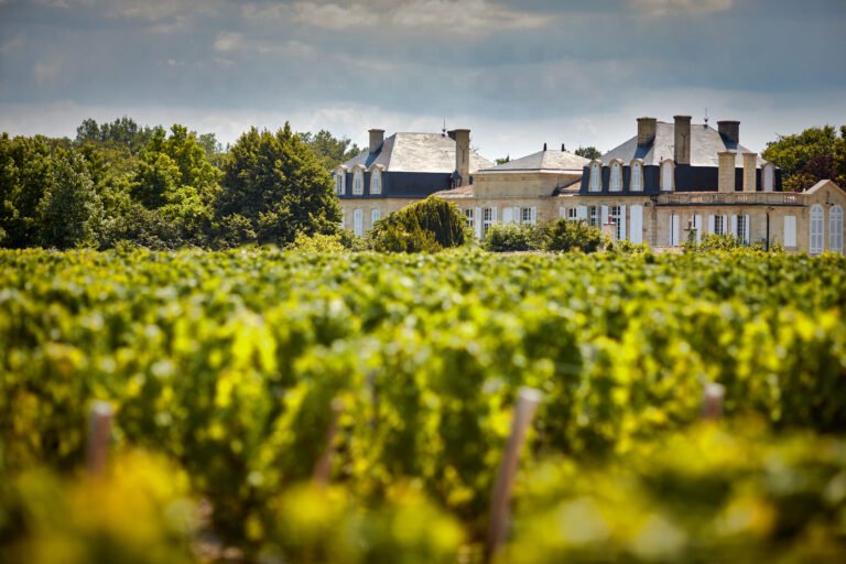 Château élégant au cœur des vignes du vignoble bordelais, illustrant l’expérience œnotouristique et les domaines prestigieux de Bordeaux.
