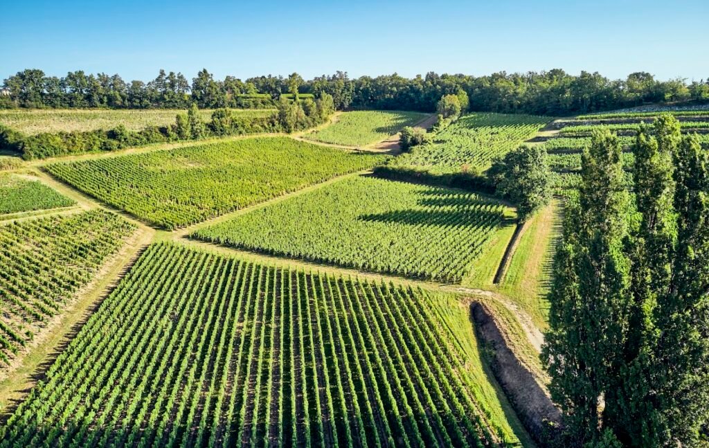 Vue aérienne des vignobles de Saint-Émilion, cadre idéal pour une excursion dans le vignoble de Bordeaux et un weekend œnologique d’exception.