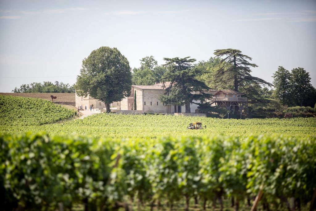 Vignoble verdoyant entourant un domaine au cœur de la campagne de Bordeaux, illustrant une excursion œnologique haut de gamme.