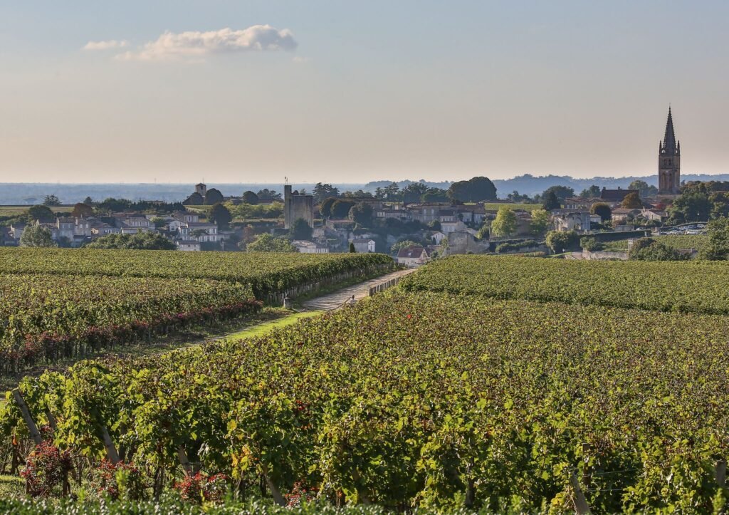 Vignobles de Saint-Émilion avec le clocher du village en arrière-plan, idéal pour une excursion œnologique à Bordeaux.