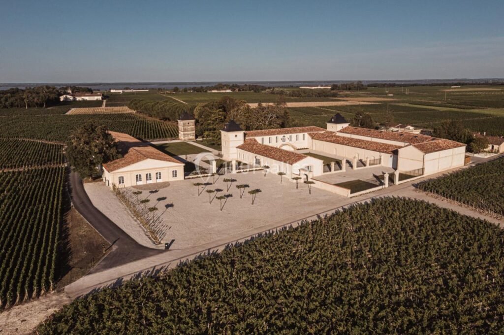 Domaine viticole entouré de vignes à perte de vue, offrant un cadre d’exception pour une visite œnologique près de Bordeaux.